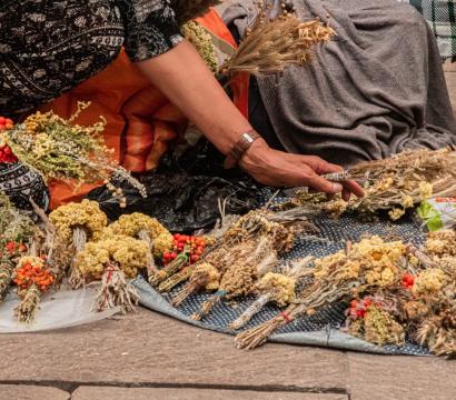 Mains de femmes qui touchent des brins de fleur fanée